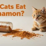 Can Cats Eat Cinnamon